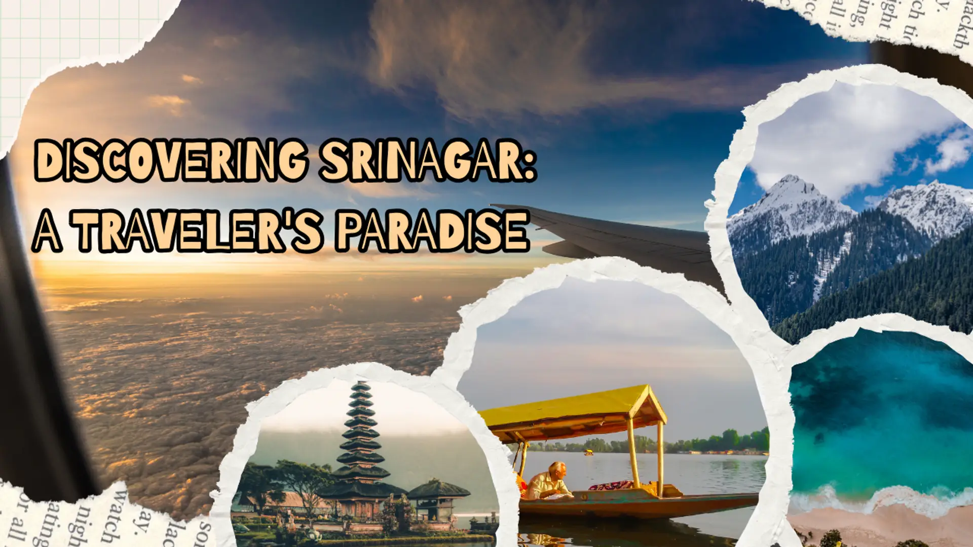 67f36969cde6a25776fe18d1